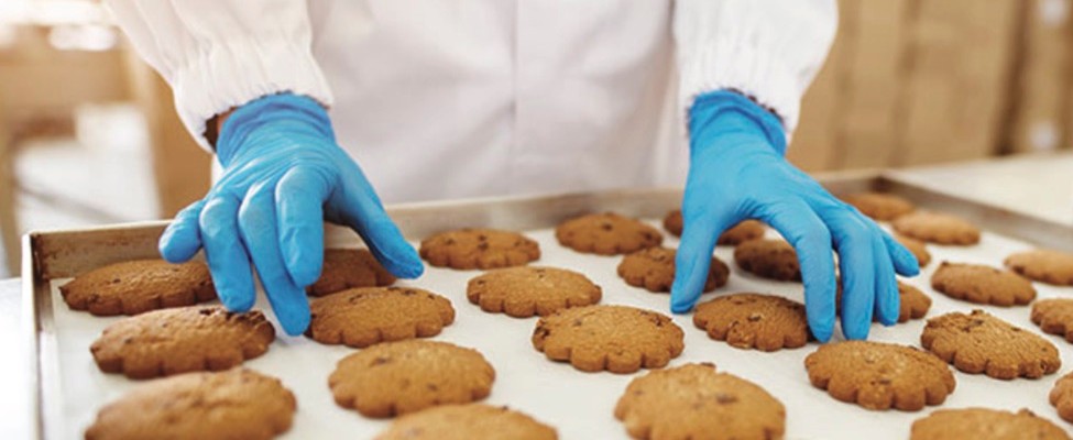 HACCP & GMP