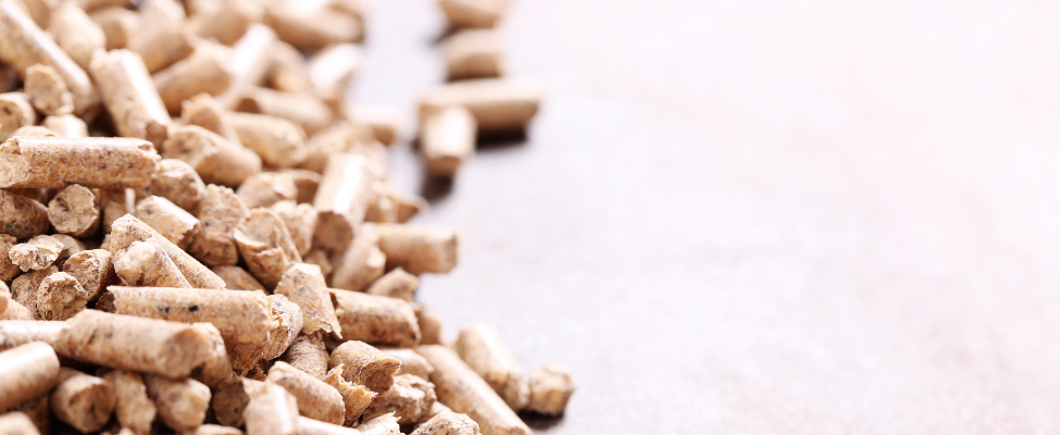 Kestävän biomassan SBP-ohjelma