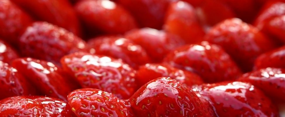 ISO 22000 tai FSSC 22000, mikä sopii parhaiten yrityksellesi?