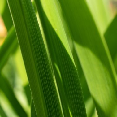 ISO 14001-ympäristöjohtamisjärjestelmä: askel kohti ympäristökäytäntöjen parantamista