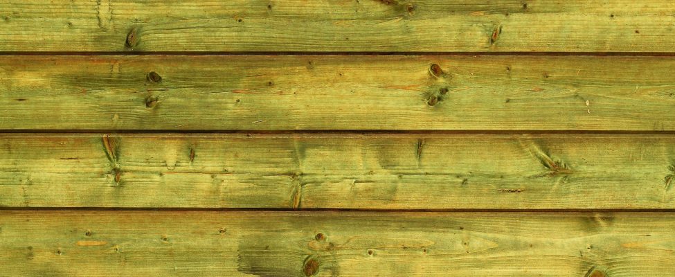 AUTA TORJUMAAN ILMASTONMUUTOSTA – KÄYTÄ LISÄÄ PUUTA