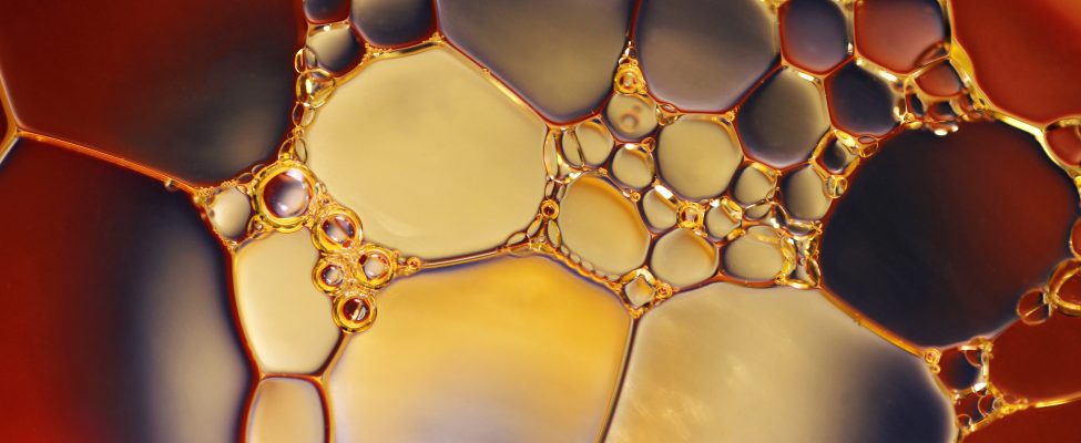 Sertifioidun kestävän palmuöljyn maailmanlaajuinen kulutus