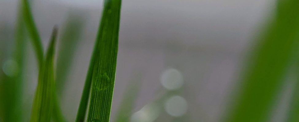 Tuotehiilijäljen todentaminen (ISO 14067, PAS 2050)