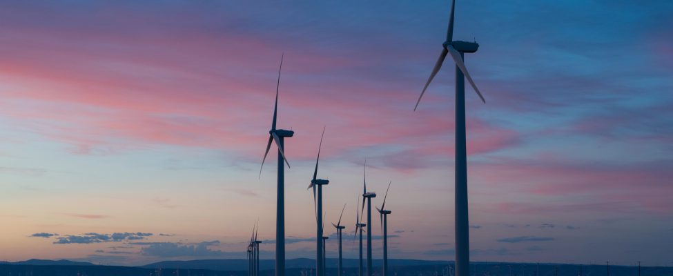 CDP Water & Carbon Verification – Carbon Disclosure Verification järjestelmät