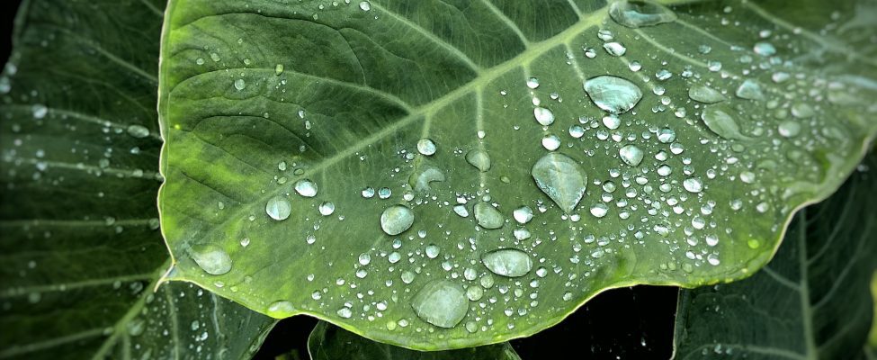 ISO 14046 Vesijalanjäljen tarkastus