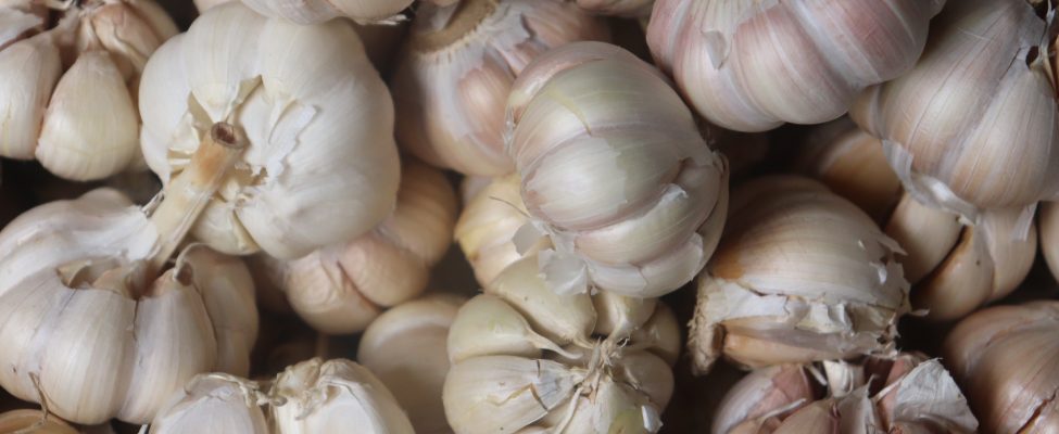 Valkoliekki Oy:lle myönnetty arvostettu BRCGS-elintarviketurvallisuussertifikaatti