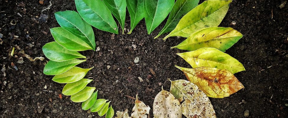 Elinkaariarvioinnin (LCA) tärkeimmät edut nykypäivän liiketoimintaympäristössä