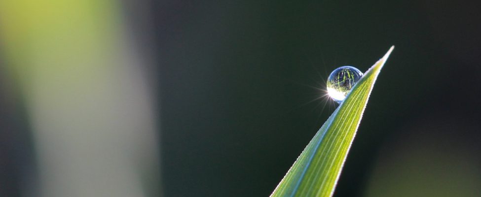 Kansainvälisten standardien voima